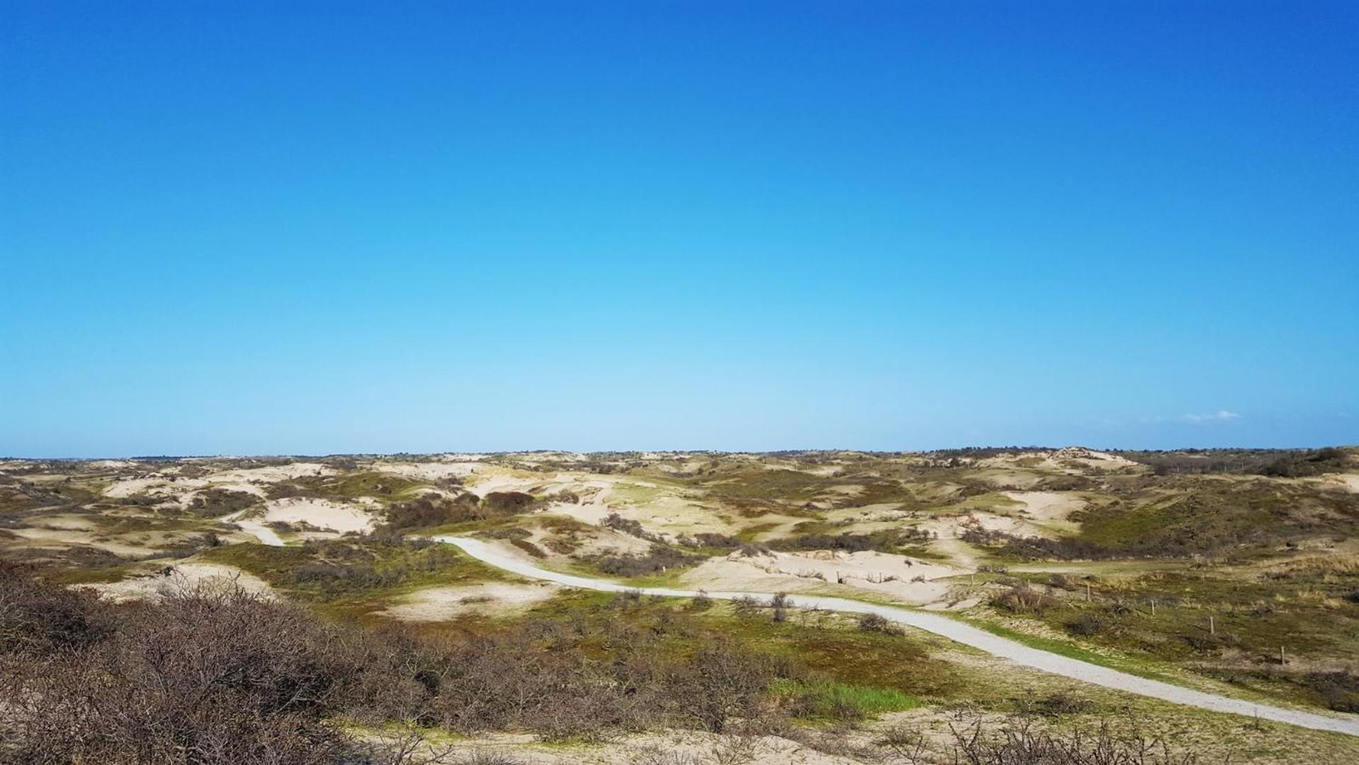 Bamboe Suite Bentveld Met Ligbad En Gratis Parkeren Eksteriør bilde